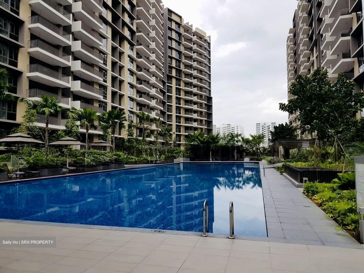 Treasure Crest (D19), Condominium #572146831